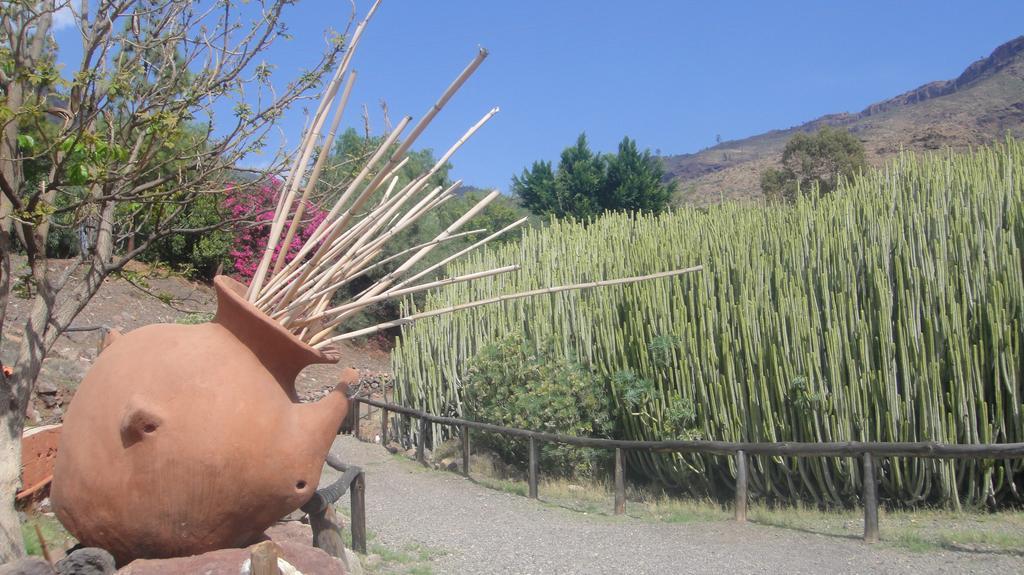 Casa El Pino Βίλα Mogán Εξωτερικό φωτογραφία